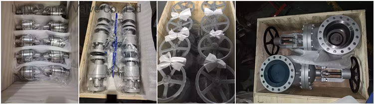 Soft Seated ANSI/DIN/JIS Cast Ductile Iron Lug Butterfly Valve Check Valve Ball Valve Globe Valve