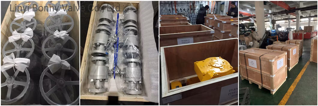 Soft Seated ANSI/DIN/JIS Cast Ductile Iron Lug Butterfly Valve Check Valve Ball Valve Globe Valve
