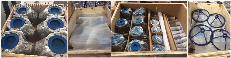 Soft Seated ANSI/DIN/JIS Cast Ductile Iron Lug Butterfly Valve Check Valve Ball Valve Globe Valve