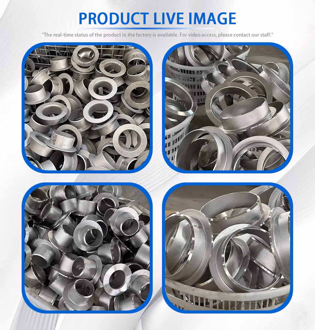 Stainless Steel Standard Wear-Resistant Long Neck Pipe Fittings Stub End