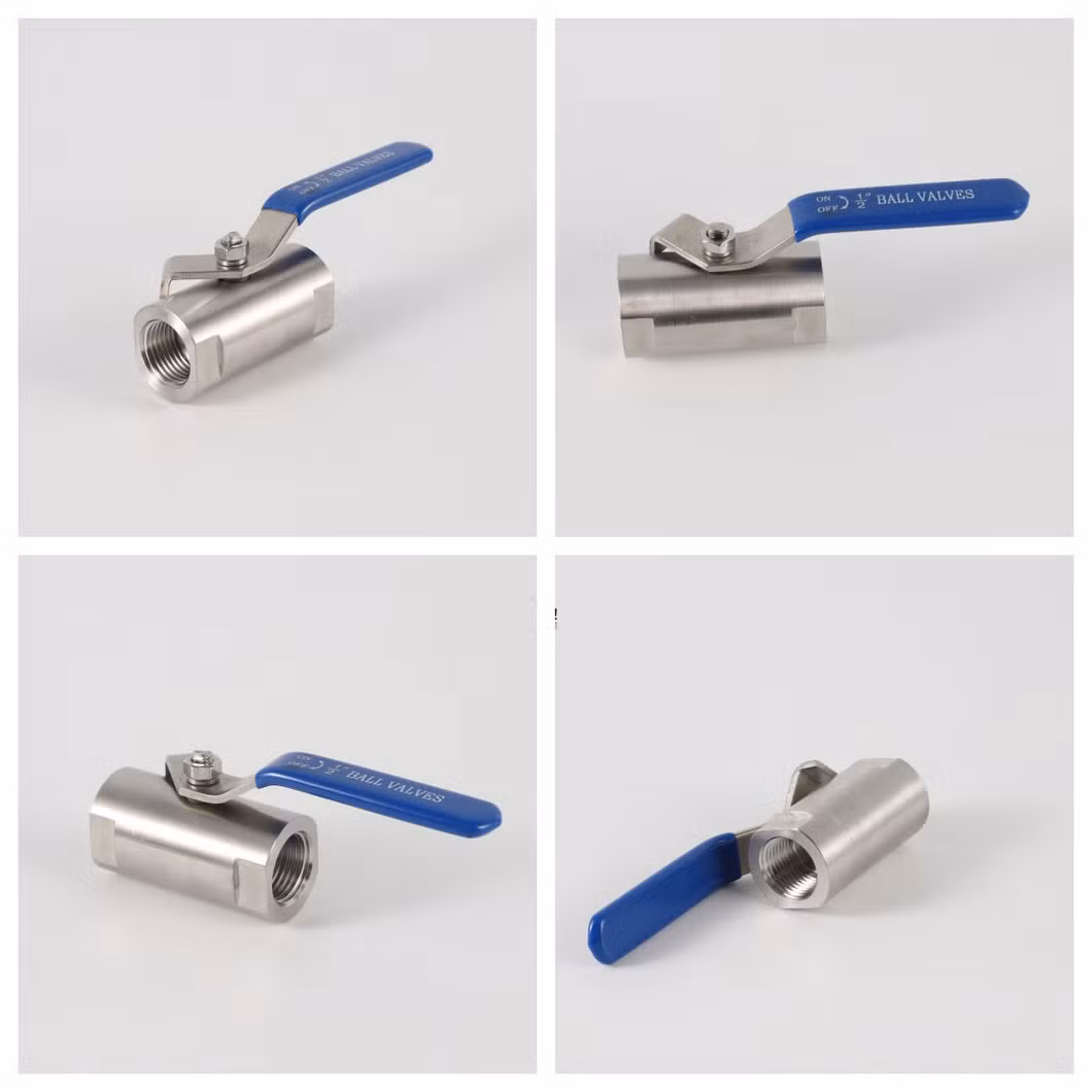 Ss Ball Instrumentation Valve High-Pressure Forged Ss Ball Valve with Female Thread