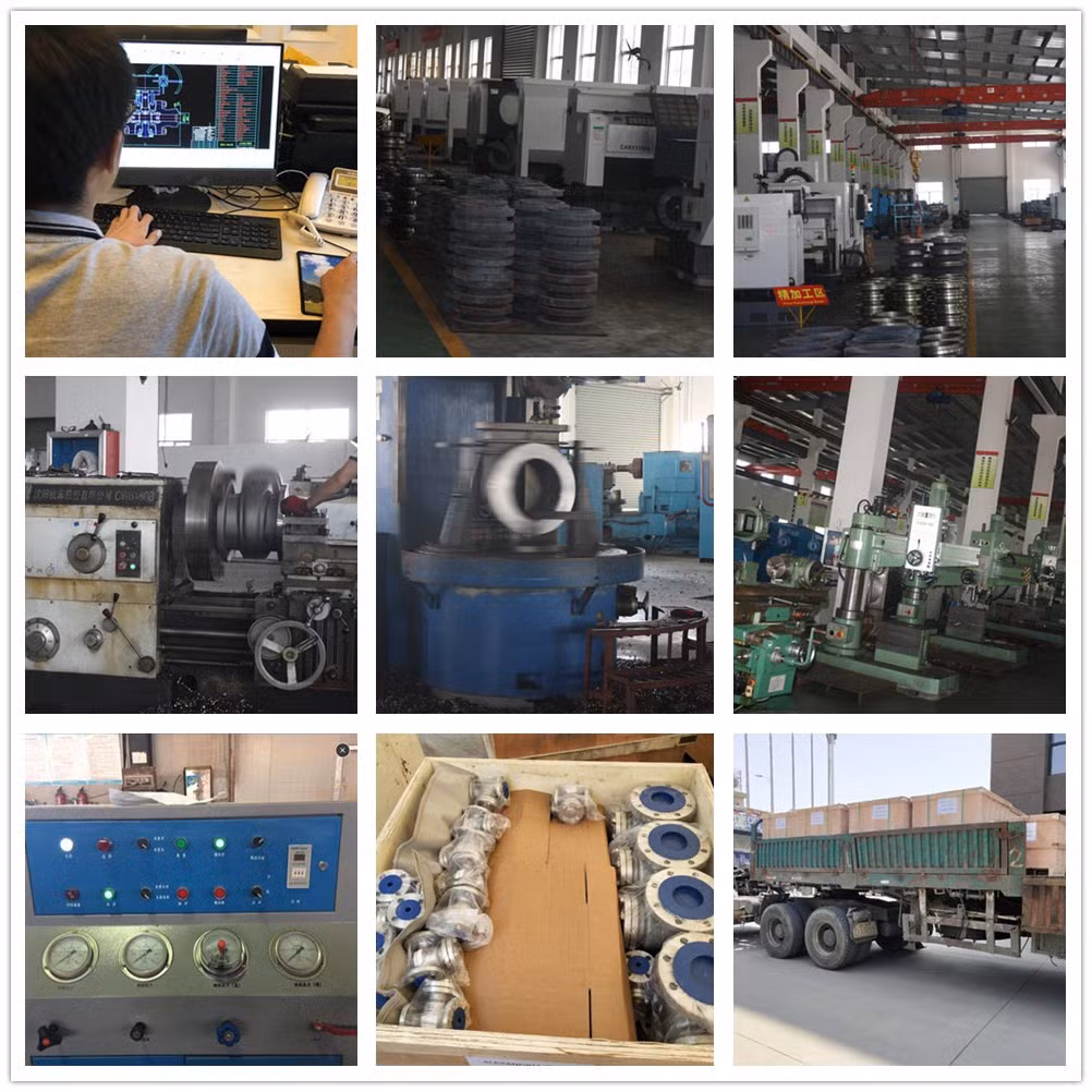 API6d Standard Stainless Steel F316L/F304L Floating Solid Rtj Ends Ball Valve