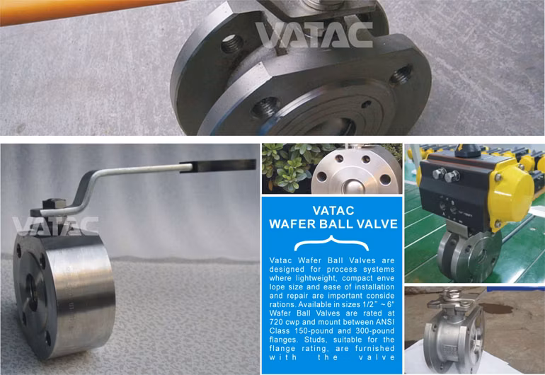 Cast Carbon Steel Flanged V Port/Segmented Ball Valve C/W Gear Operation