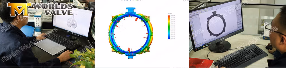 CF8m Double Flanged High Performance Butterfly Valves with Worm Gear Bare Stem