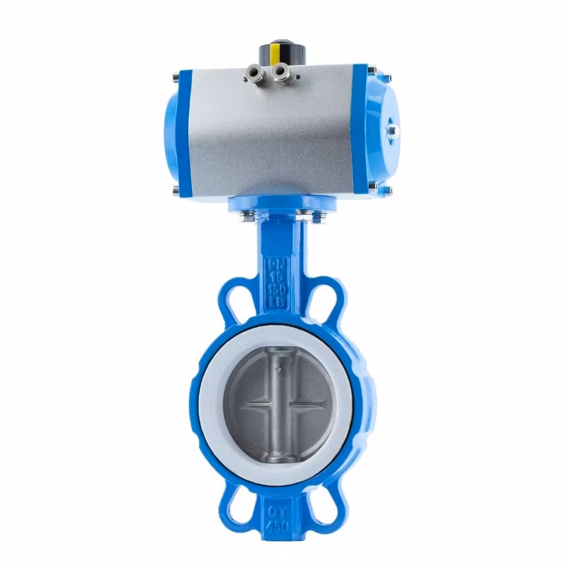 Stainless Steel Cricket Ball Ink-Body Soft Seal Against Clamp Butterfly Valve