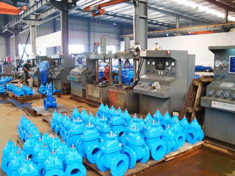 High Quality Ductile Iron Ball Check Valve with EPDM Ball