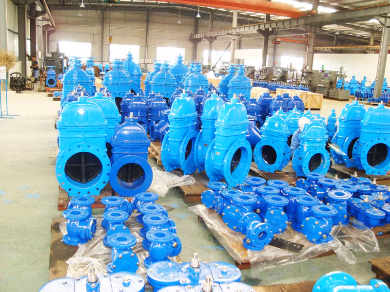 High Quality Ductile Iron Ball Check Valve with EPDM Ball