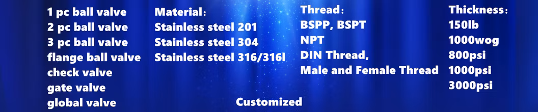 Best Price Customized Male to Female 2PC Stainless Steel Ball Valve