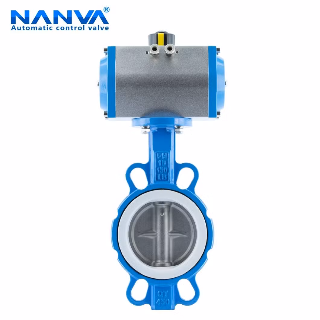 Stainless Steel Cricket Ball Ink-Body Soft Seal Against Clamp Butterfly Valve