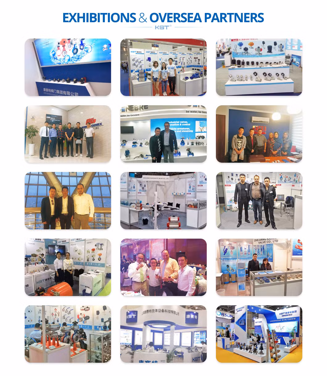 Floating Straight Through Type Kt/OEM CE, ISO9001, FDA, API, Dnv Pneumatic Flanged Ball Valve