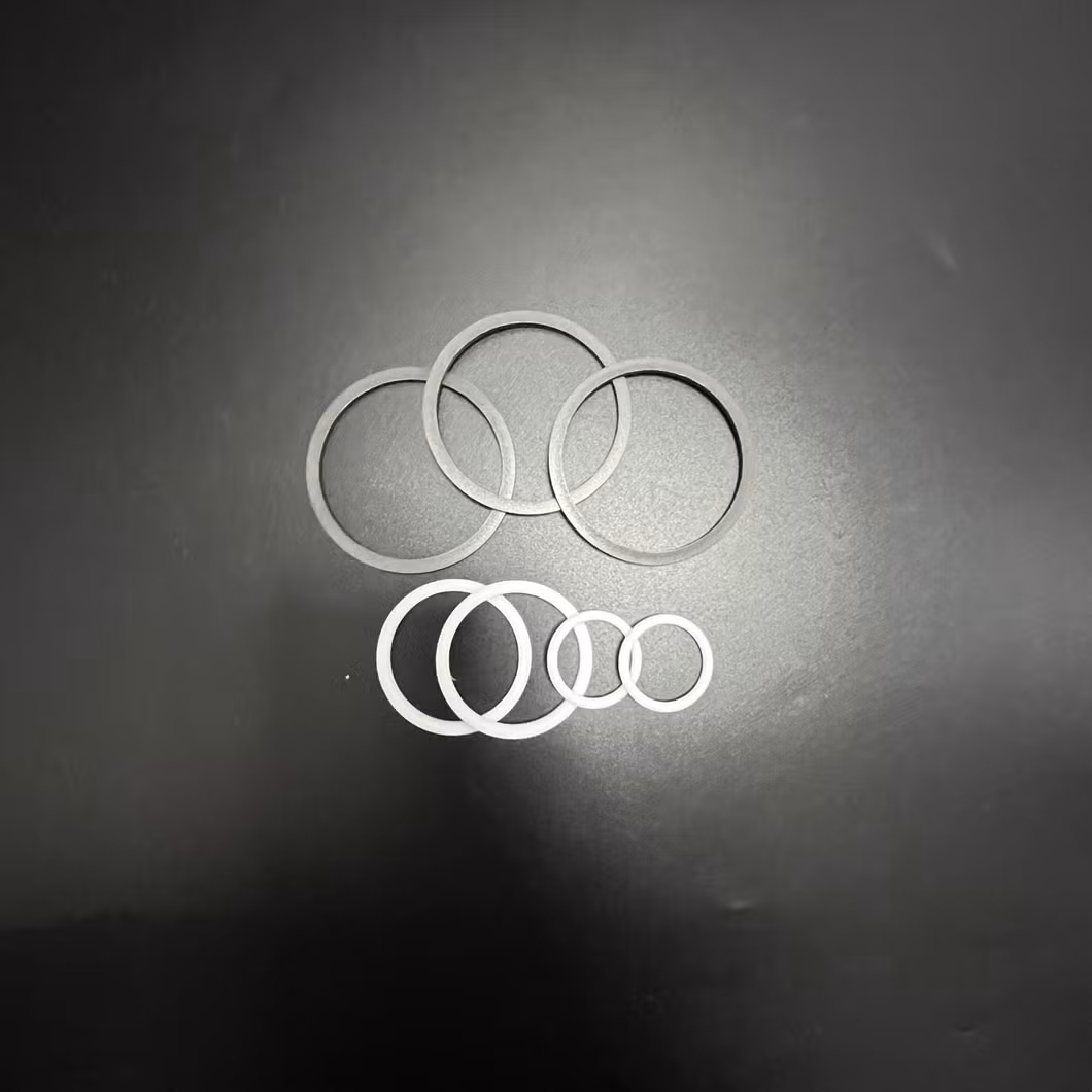 Pump Repair Kit PTFE Ball Seat Orings PTFE Seal for Aodd Pumps