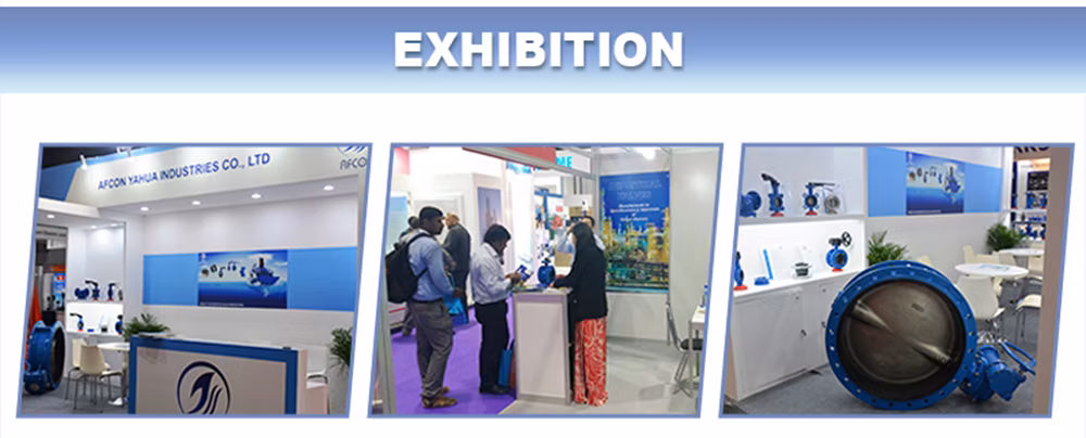 Soft Seated ANSI/DIN/JIS Ductile Iron Lug Butterfly Valves Check Valves Ball Valves Globe Valves