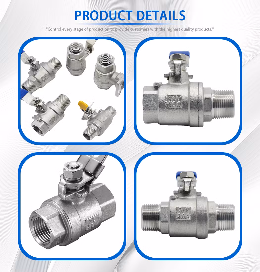 Stainless Steel OEM/ODM/Corrosion Resistant/Flow Control Non-Retention Globe/Check/Gate/Ball Valve for Water/Air/Oil/Gas/Liquid (ZT-FG0012)