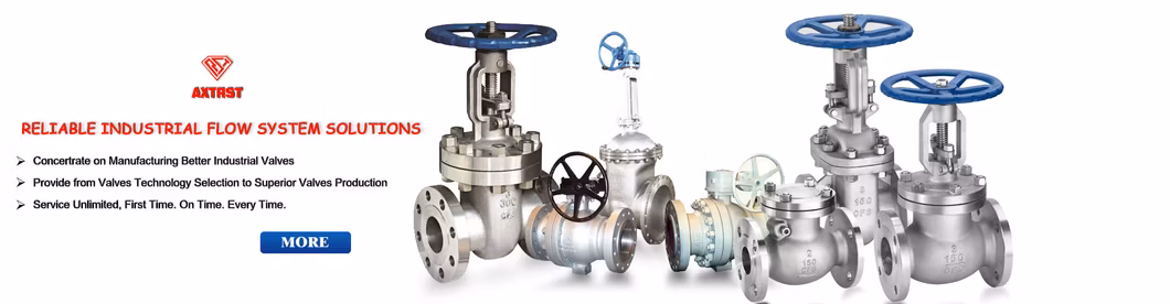 Stainless Steel Trunnion Mounted Flange Ball Valve