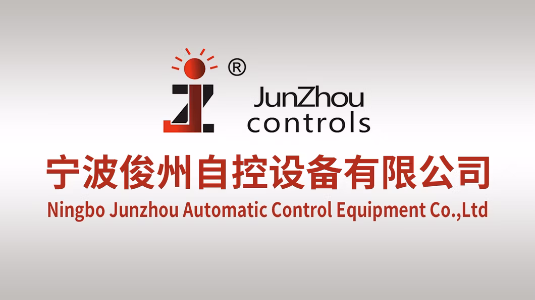 Water Conditioner 24V Motorized Brass Ball Valve DN20 2-Way with Actuator