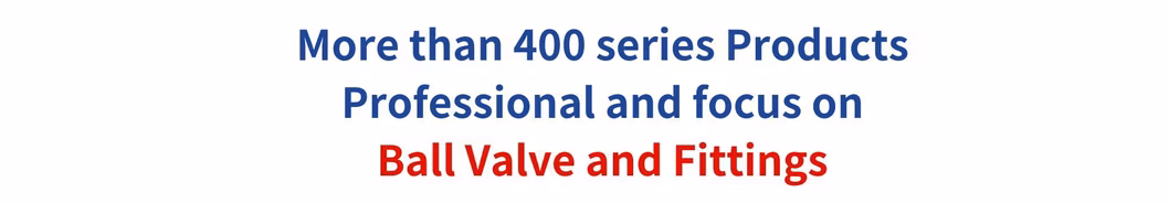 Stainless Steel Ball Valve Extended Stem in SS316 304