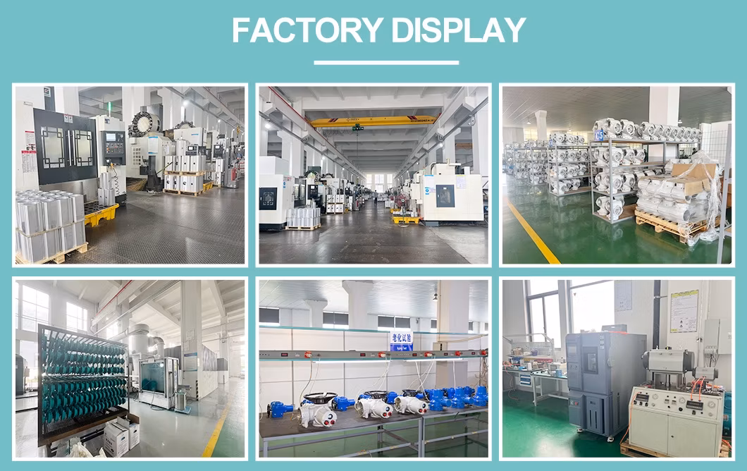 Industrial OEM/ODM High Pressure Stainless Steel Threaded Tube Ball Valve with Pneumatic Actuator