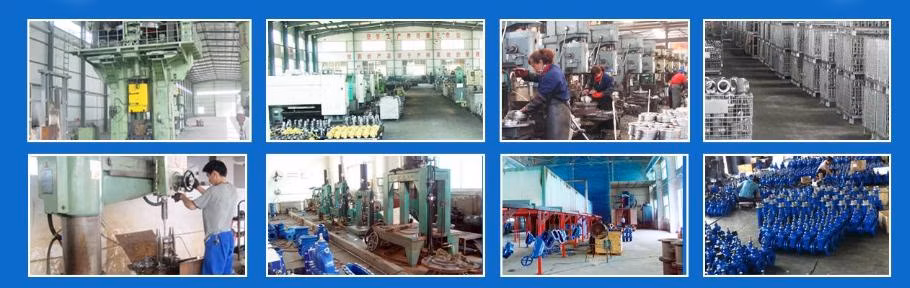 Chinese Factory Standard Stainless Steel High Pressure DN15 1PC Type Ball Valve