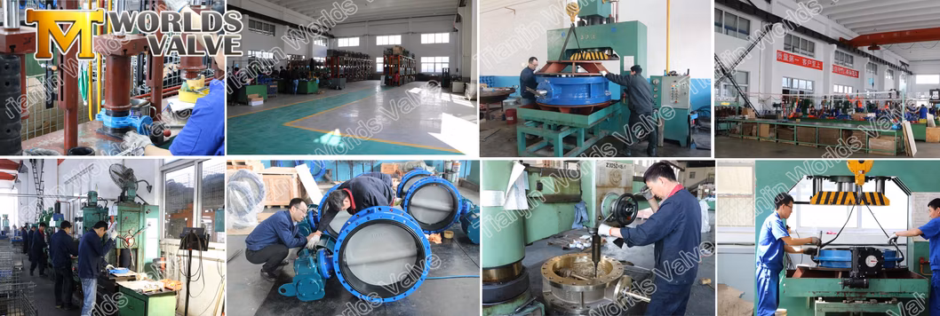 CF8m Double Flanged High Performance Butterfly Valves with Worm Gear Bare Stem