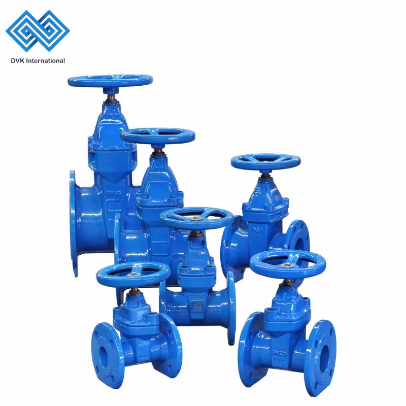 ODM Ductile Iron/Stainless Steel API/ANSI/DIN/JIS/ASME Standard Flanged/Wafer Type Control/Globe/Ball/Check/Butterfly/Gate Valve for Flow Control
