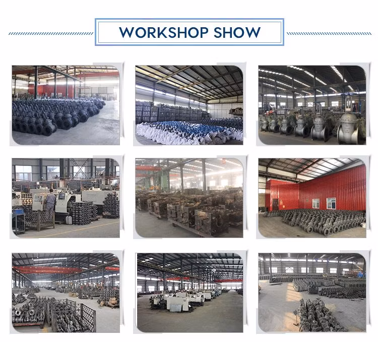 Cast Steel Welded Soft Seal Floating Ball Valve