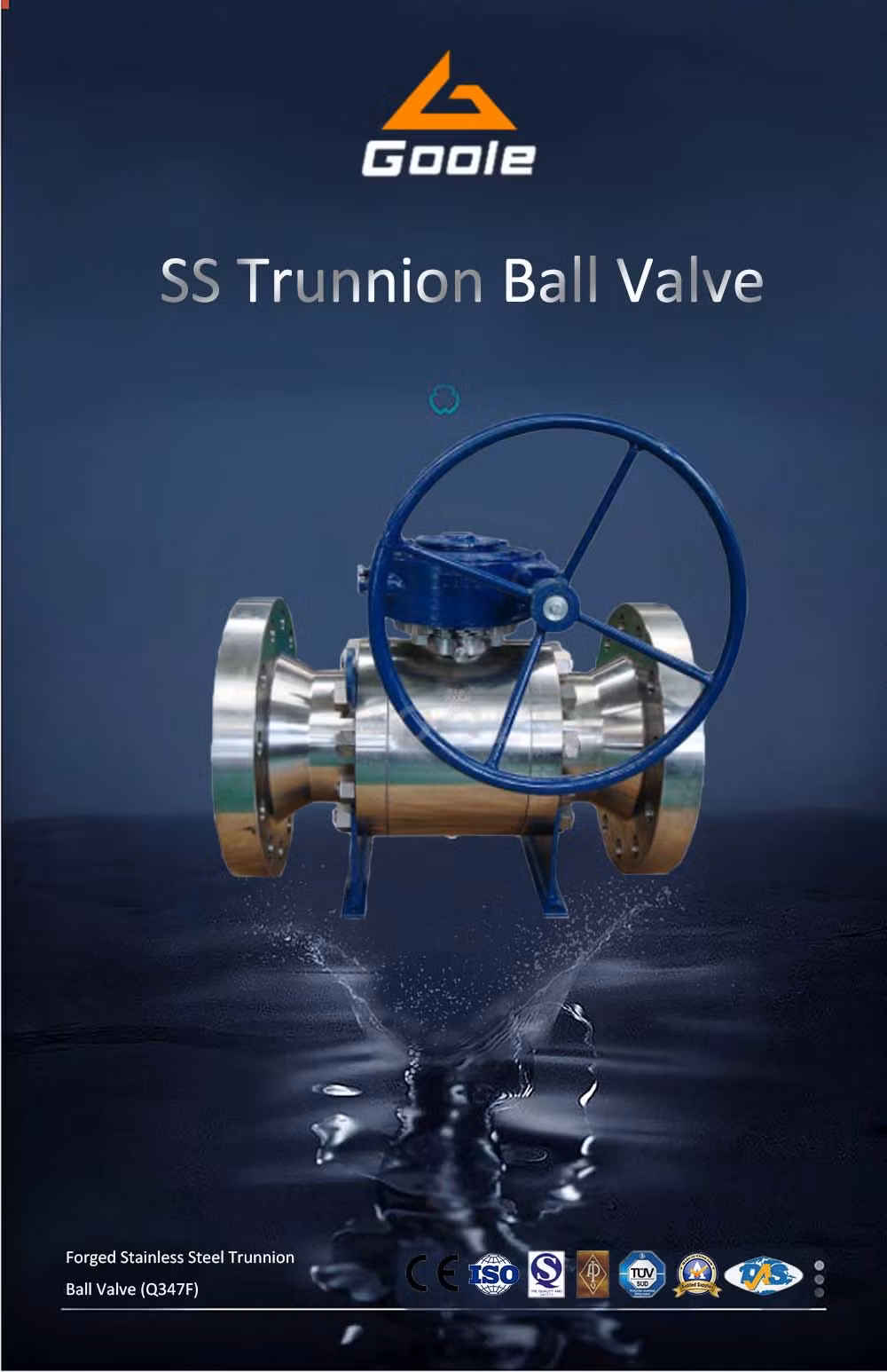 Forged Stainless Steel Reduced Port Trunnion Ball Valve (GARQ47F)