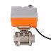 2 Way SS304 Motorized Valves 220V Flow Control Valve Actuator Motor Operated Electric Ball Valve