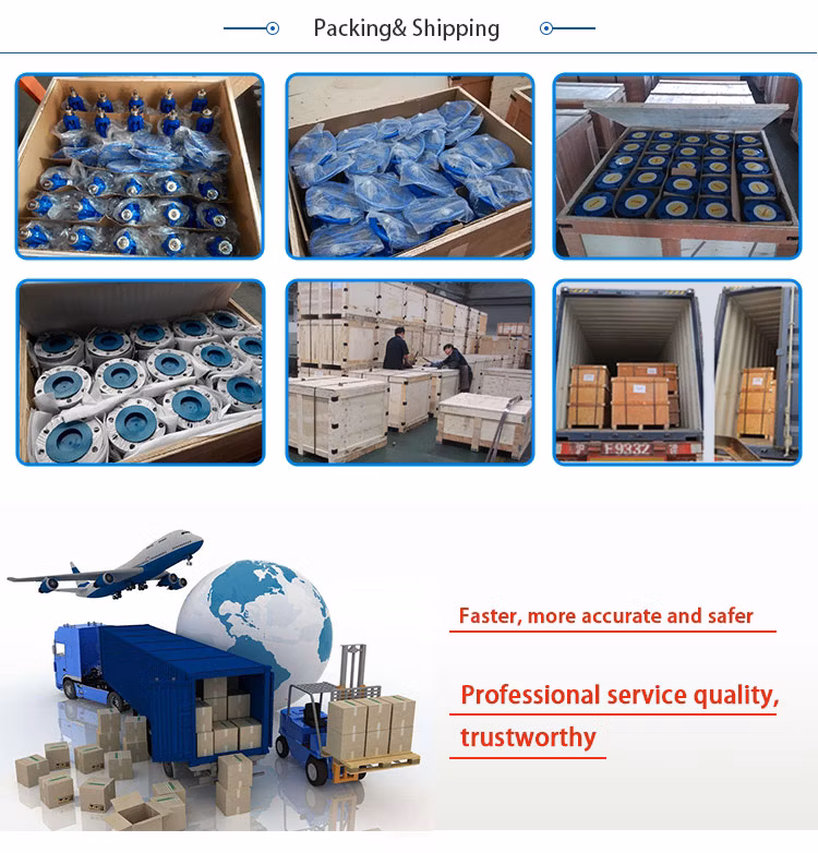 Shf API 602 A105 800lb Gas Soft Seal Floating Ball Valve with Handles