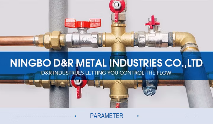 D&R Factory Cheap Hot Stock Magnetic Lockable with Metal Key BSPT NPT Brass Ball Valves
