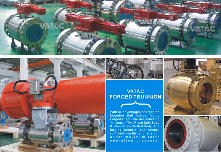 Side Entry Forged Trunnion Mounted Type with Dbb Function Ball Valve