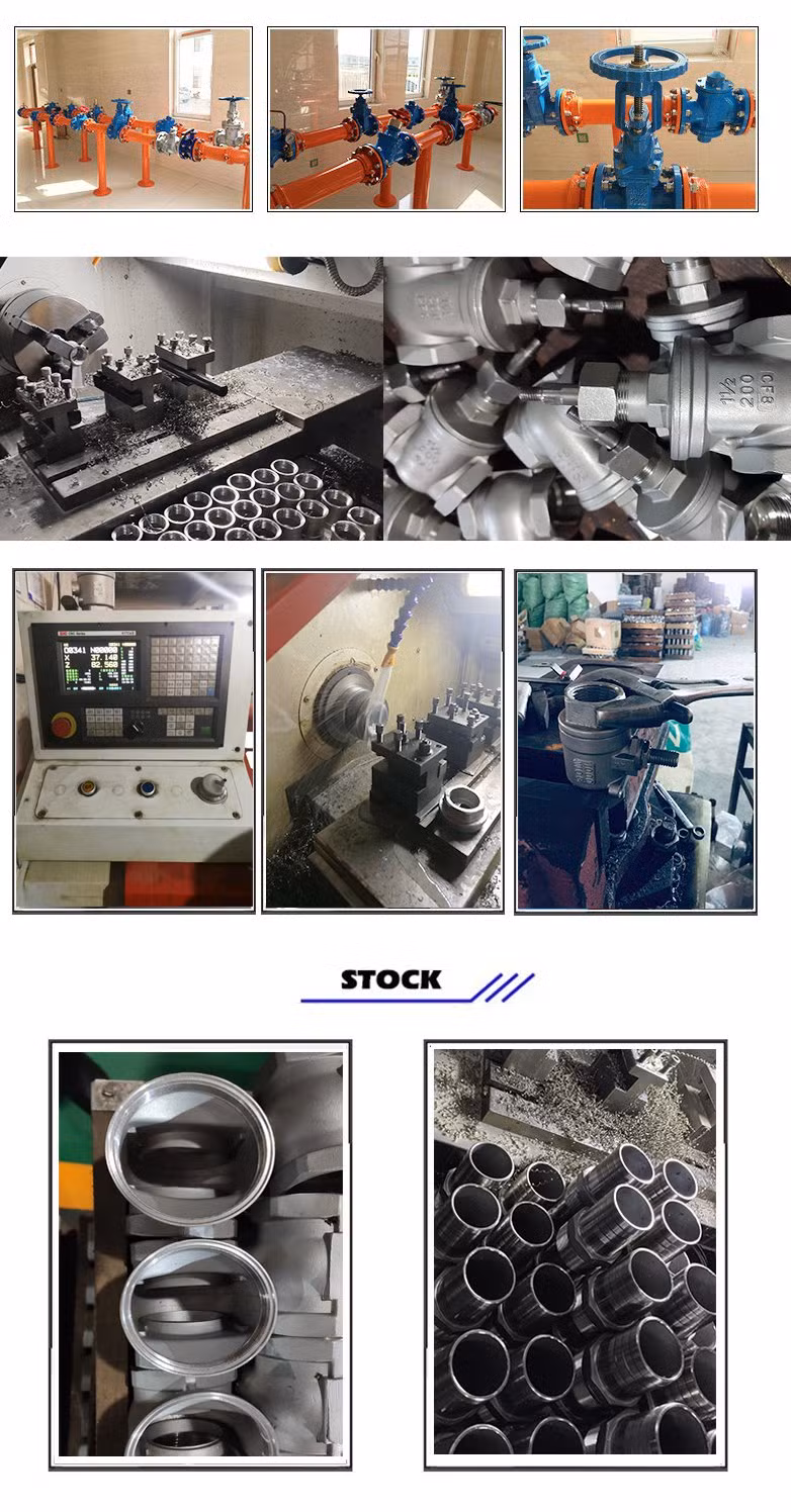 Wholesale Q11f-16p Two-Piece Stainless Steel Threaded Straight-Through Wire-Button Manual Ball Valve Metal Factory