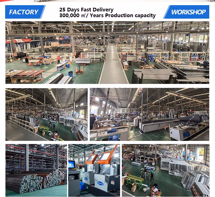 Prettyhouse Sectional Modern Industrial Automatic Aluminum Glass Bi-Fold Garage Door