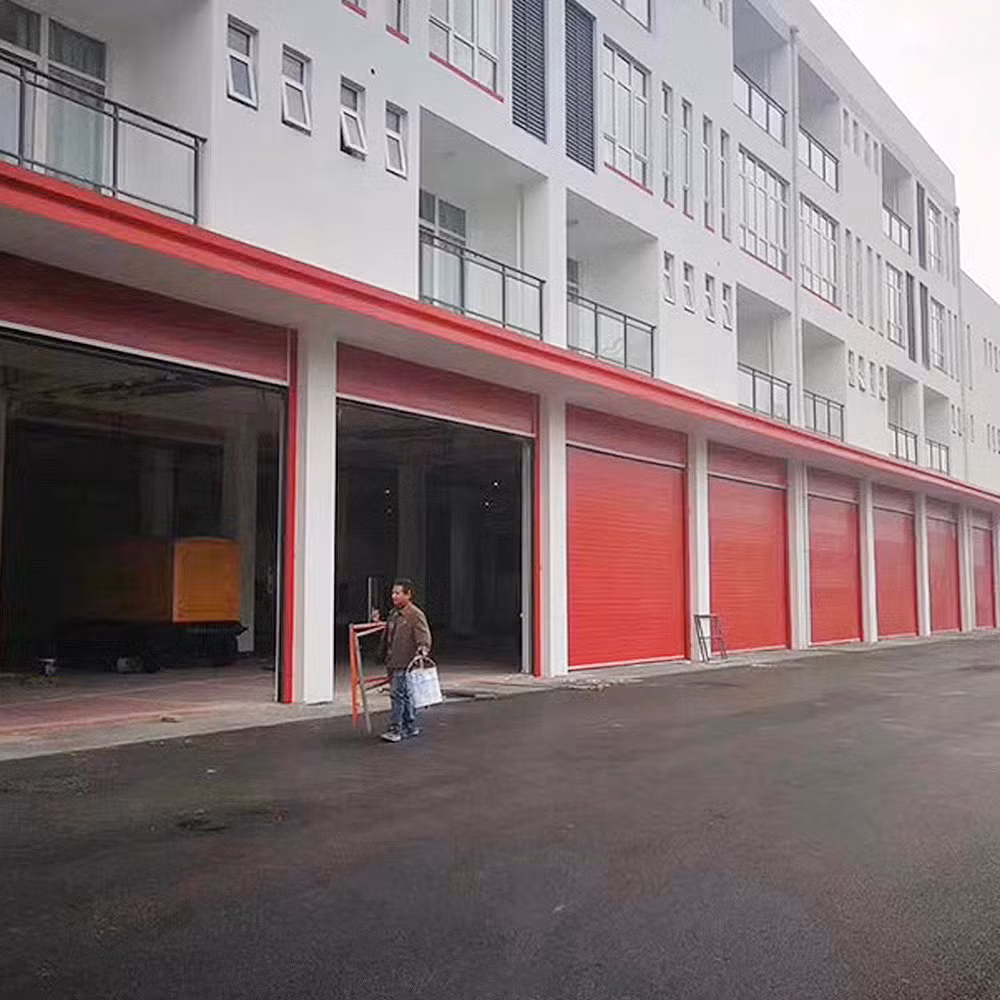 North American Double Steel Sectional Industrial Two Car Garage Gate