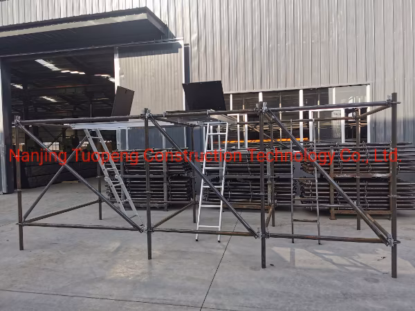 Scaffolding Accessories Scaffold Safety Gate