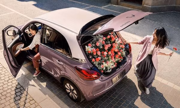 Wuling Bingo Wholesale Adult Cars Vehicle New Used Car Auto Car Mini Electric Car