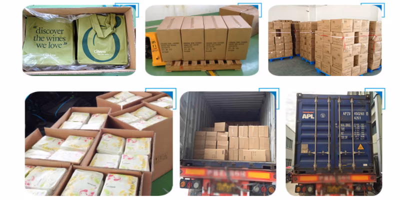 Wholesale Factory PP Non Woven Wine Tote Bag Eco-Friendly Storage Non Woven Box Carrier Bag/Gift Tote Bag