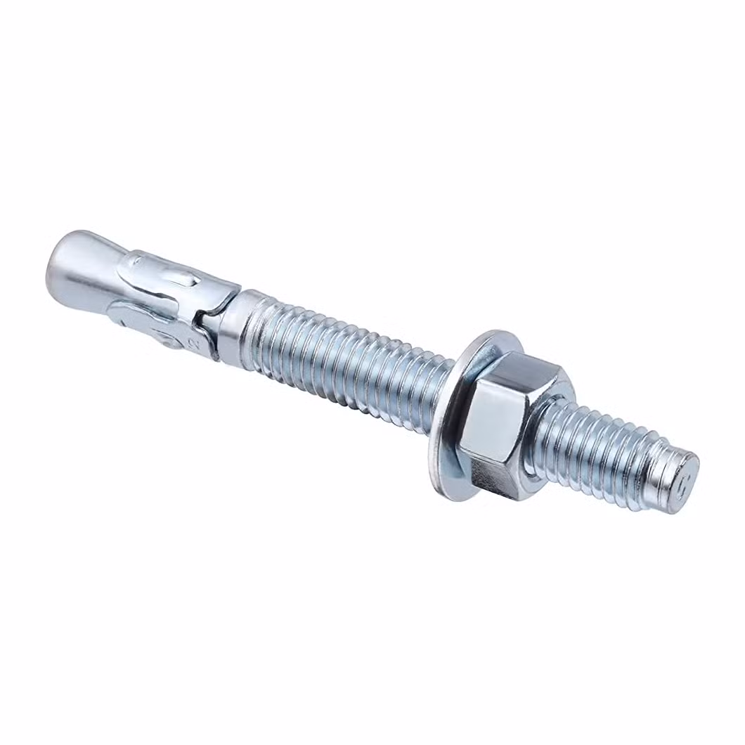Stainless Steel Mechanical Expansion Anchor Bolt for Concrete Masonry Holding