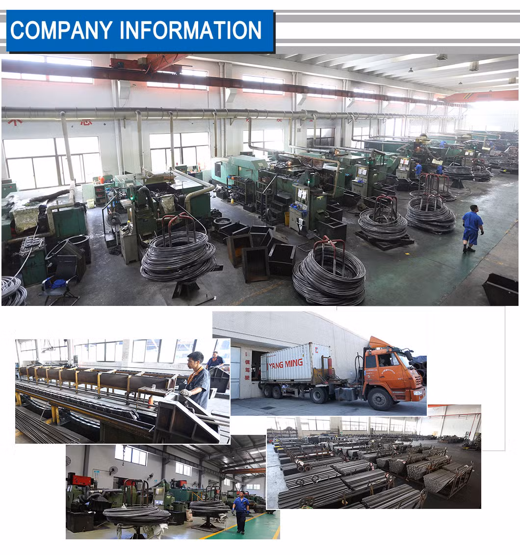 Heavy Hex Head Bolt with Nut and Washer/T Head Bolt / Flange Bolt / Anchor Bolt / U-Bolt / Wedge Anchor Bolt