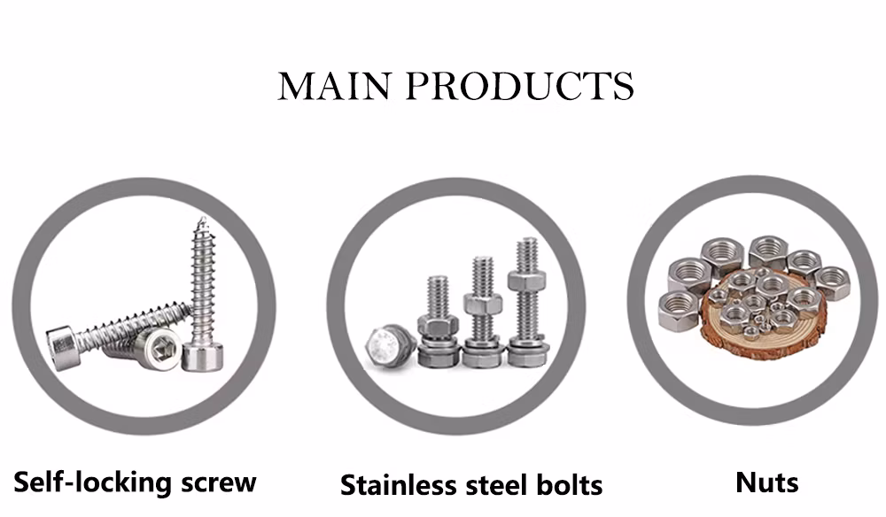 SS304 Thread Concrete Screw Anchor Bolt Threaded Rod Hanger Bolt for Construction