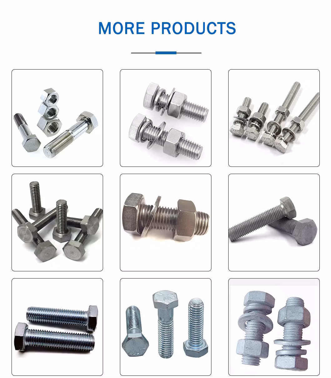 Heavy Hex Head Bolt with Nut and Washer/T Head Bolt / Flange Bolt / Anchor Bolt / U-Bolt / Wedge Anchor Bolt