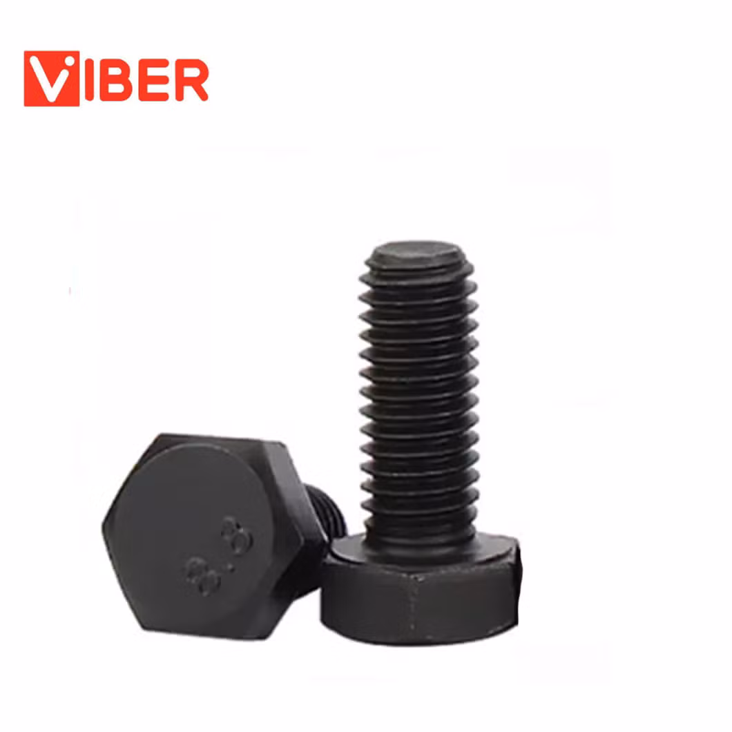 SS304 Thread Concrete Screw Anchor Bolt Threaded Rod Hanger Bolt for Construction