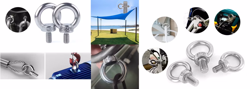 All Kinds of Fasteners Expansion Anchor Bolt HDG Eye Bolt