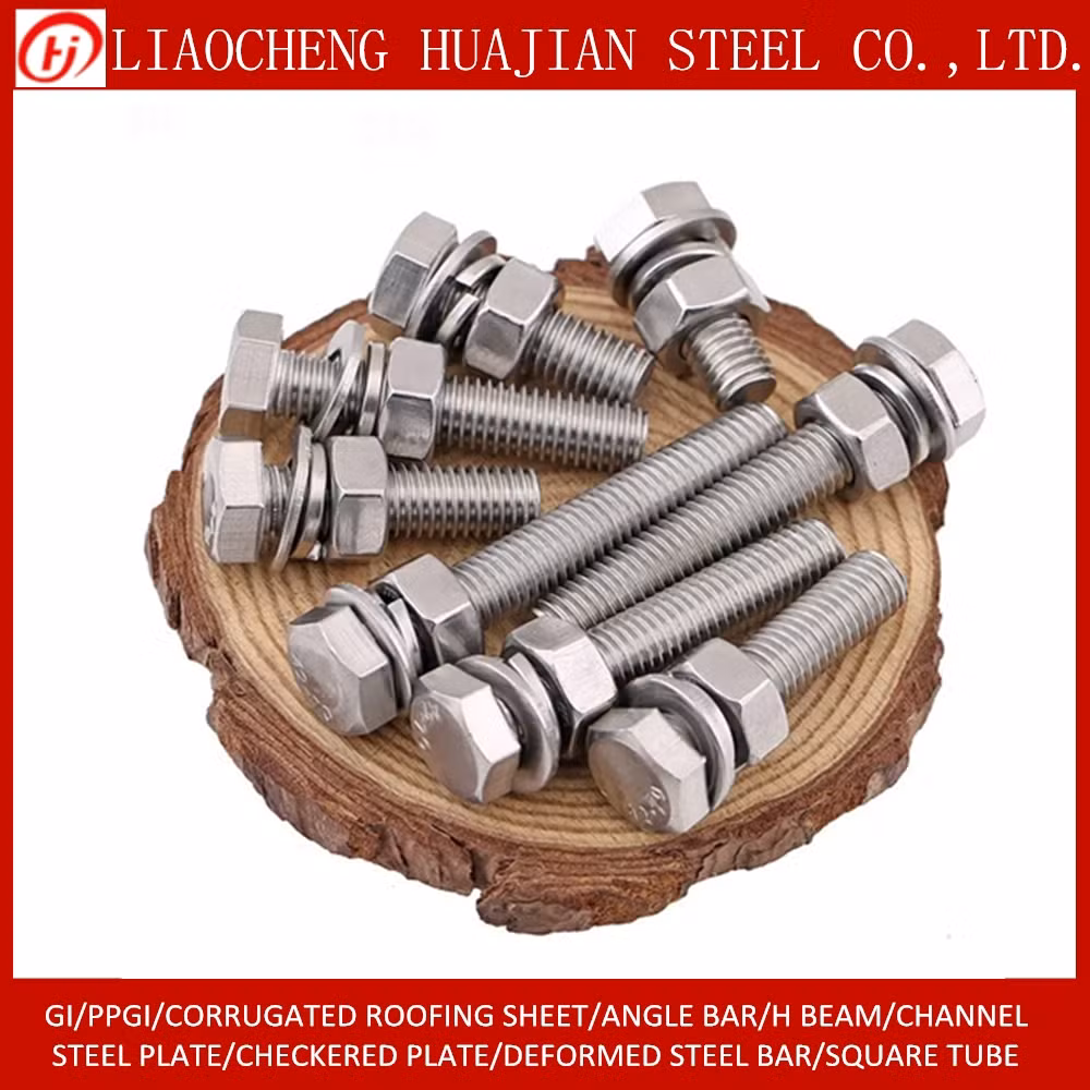 Hardware Fasteners Stainless Hex Bolt, Nut and Washer in Selling