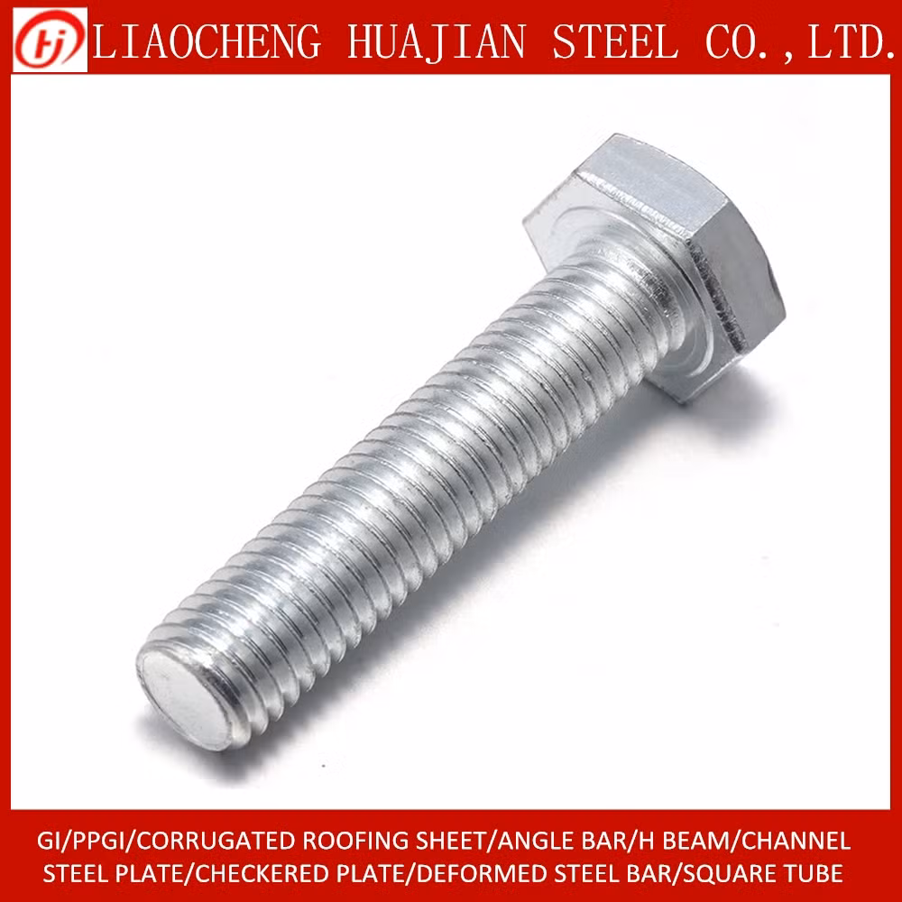 Hardware Fasteners Stainless Hex Bolt, Nut and Washer in Selling