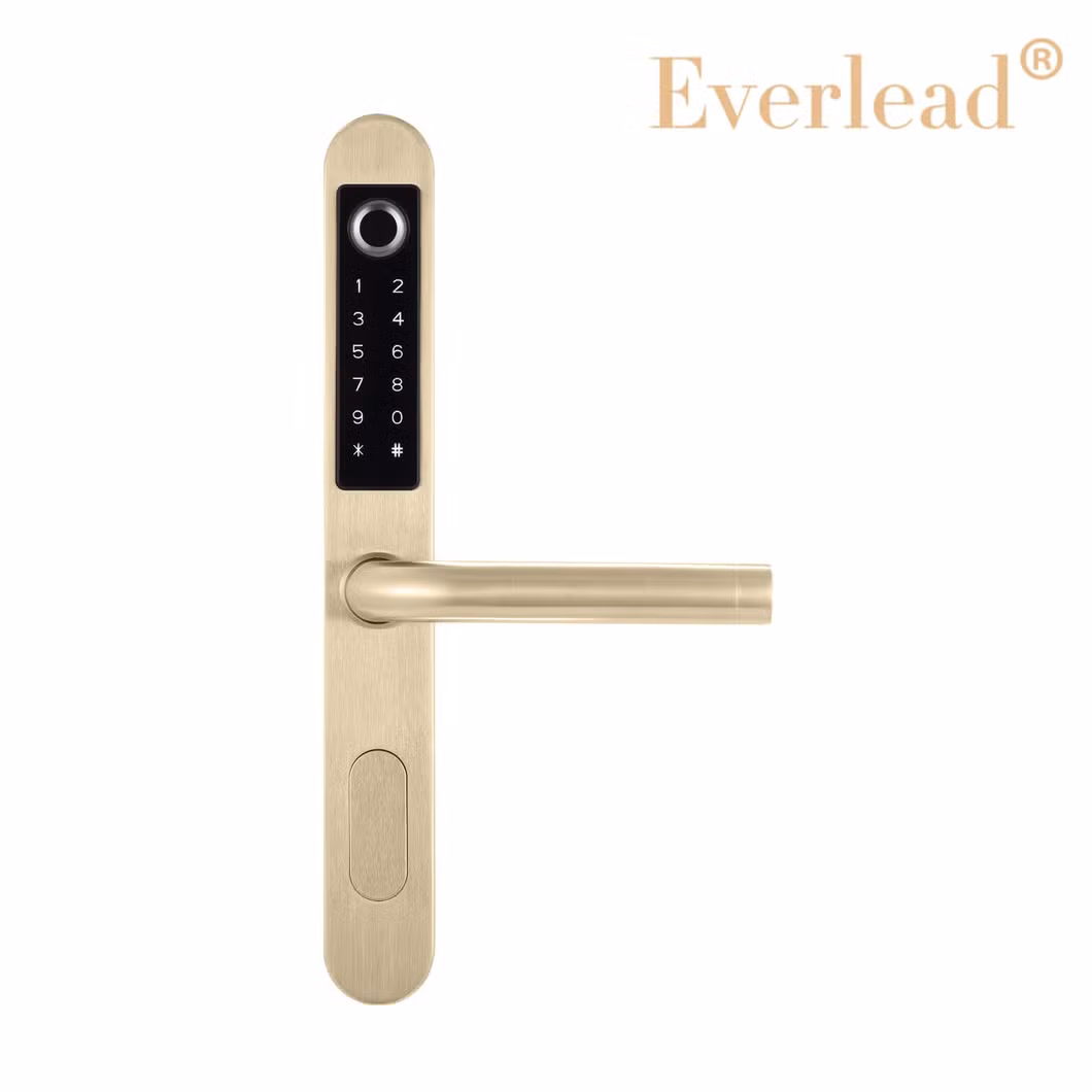 Ttlock Smart Aluminum Door Fingerprint Password Narrow Gate Digital Smart Lock for Sliding Glass Door