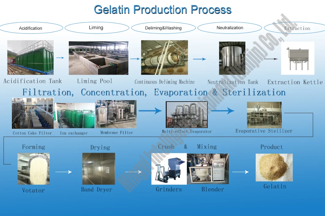 Filling Machine Votator for Gelatin Extruding