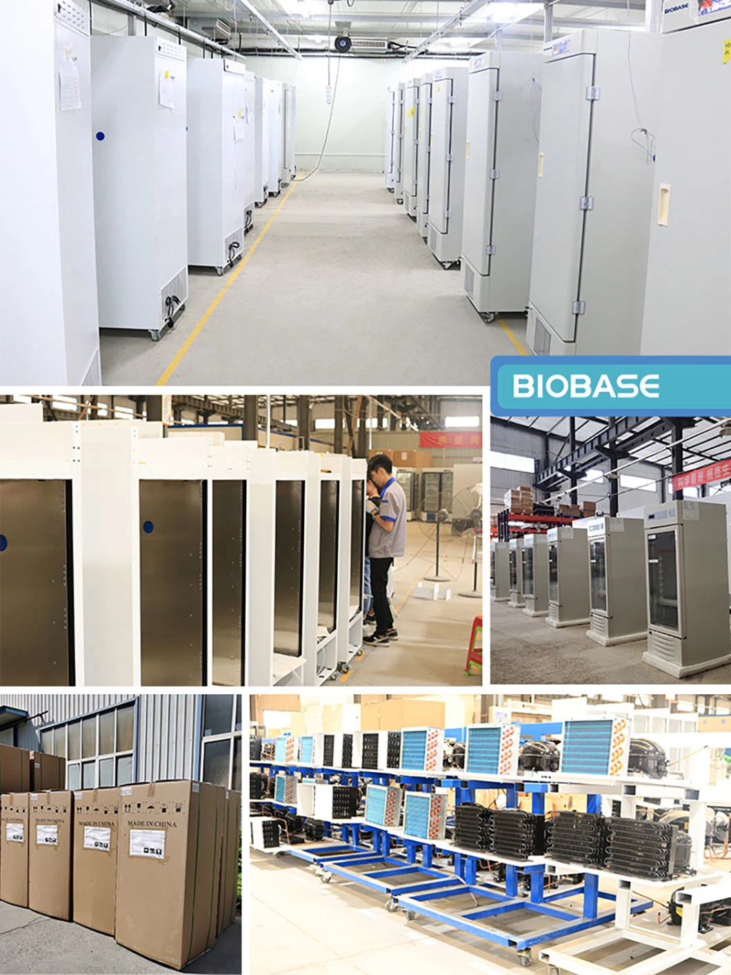 Biobase -60 Degree Vacuum Lyophilizer Freeze Dryer Machine for Lab