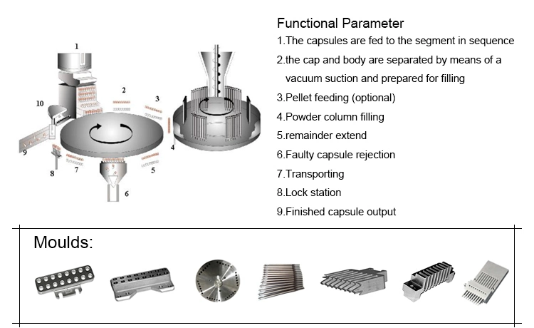 Njp-1200 Ganoderma Lucidum Spore Powder Pharmaceutical Fully Automatic Hard Capsule Filling Machine