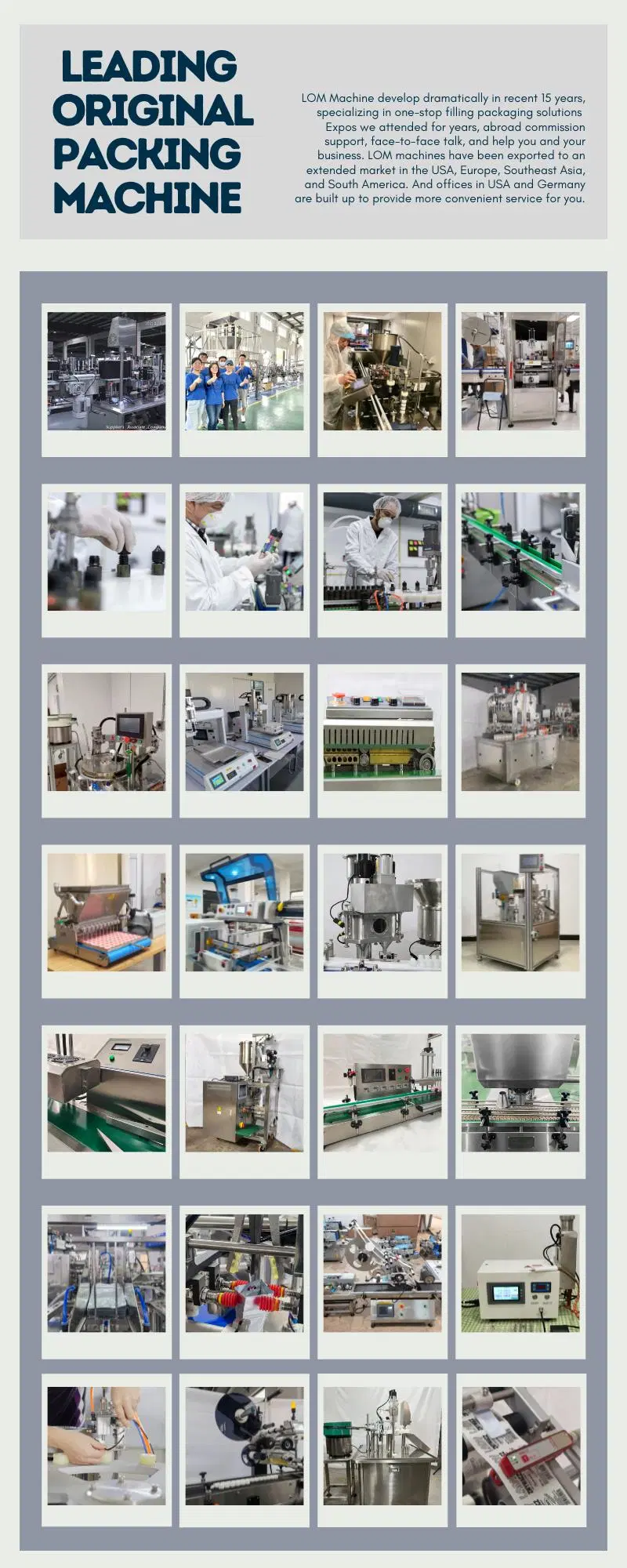 Fully Automatic Capsule Oil Gel Filling Pharmaceutical Machine Beverage Encapsulate Filling Machine