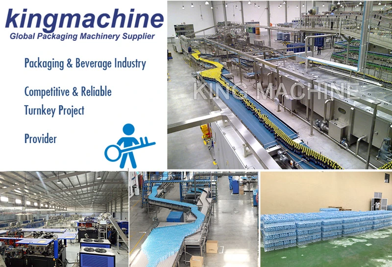 Automatic Servo Piston Liquid Pet Glass Bottle Monobloc Salad Olive Soybean Sunflower Edible Oil Honey Bottling Filling Capping Labeling Packing Plant Machine